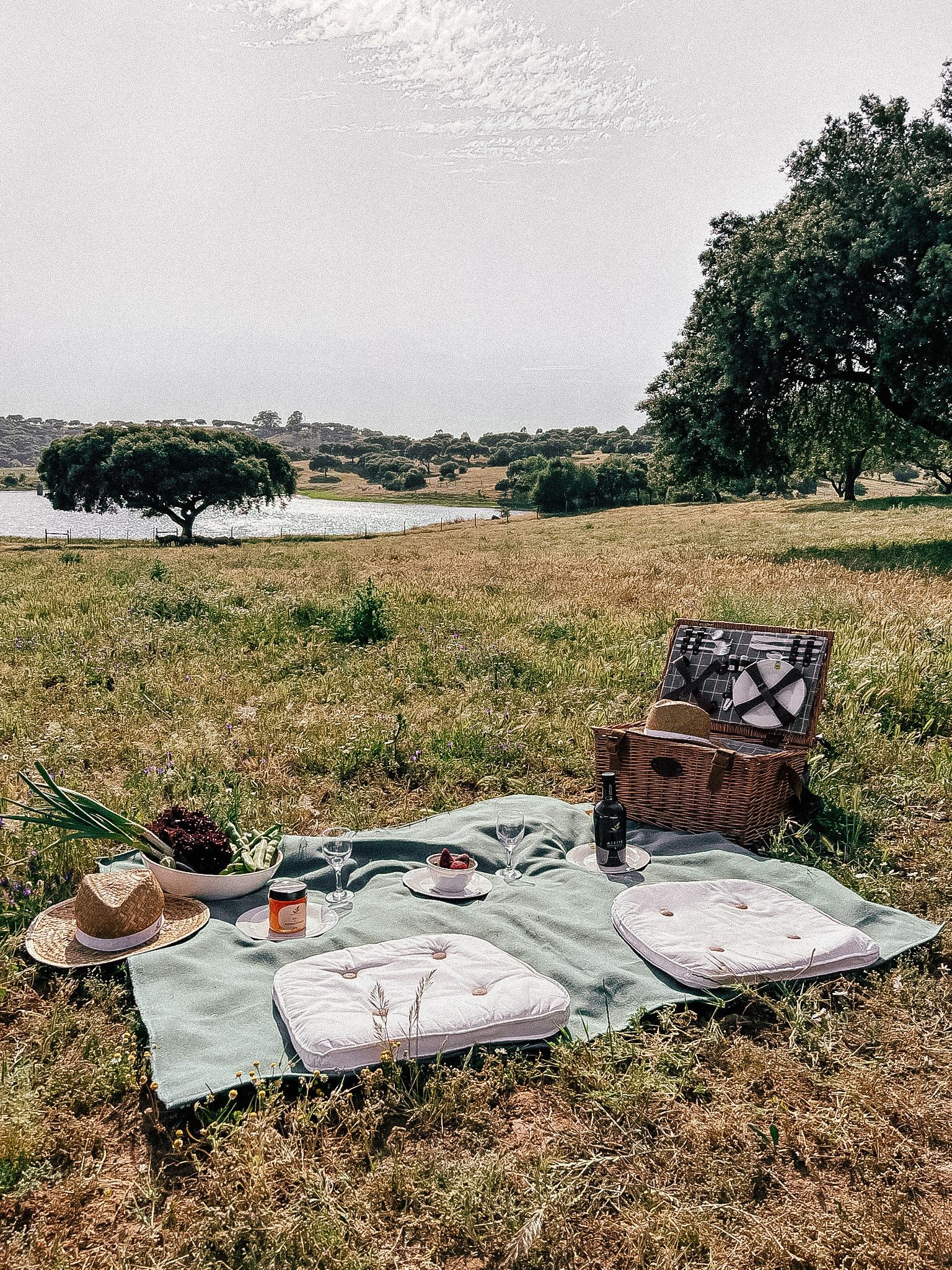 Picnic Herdade Terra Rica Picnic Herdade Terra Rica
